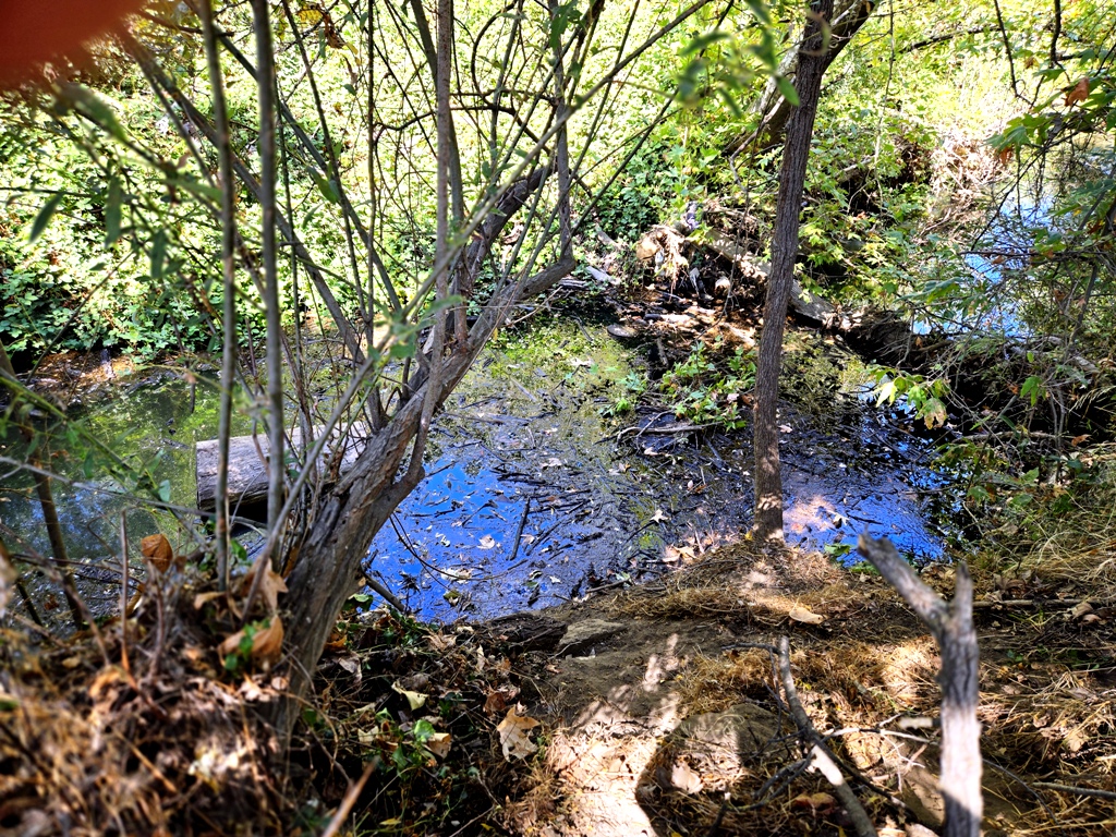 After trash and log jam removal. 